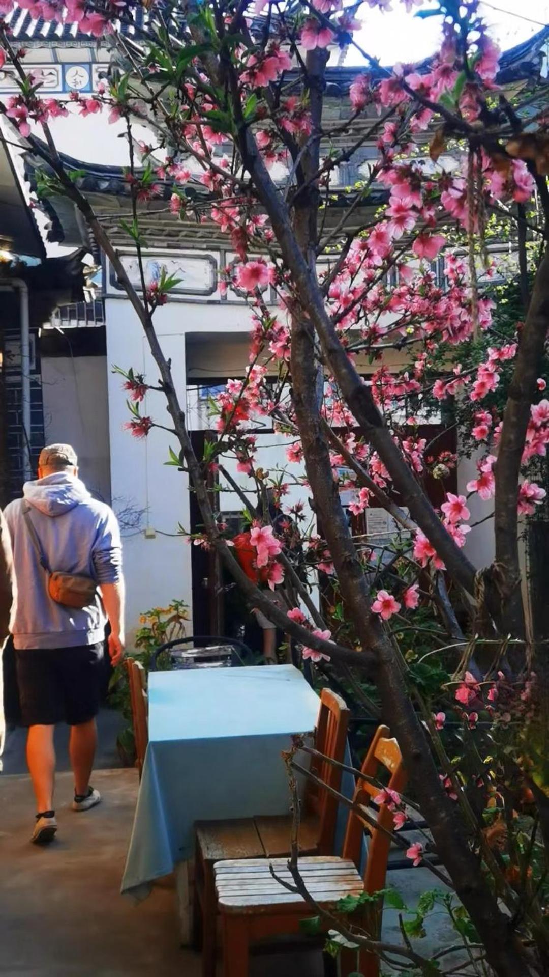The Lily Pad Inn ต้าหลี่ ภายนอก รูปภาพ