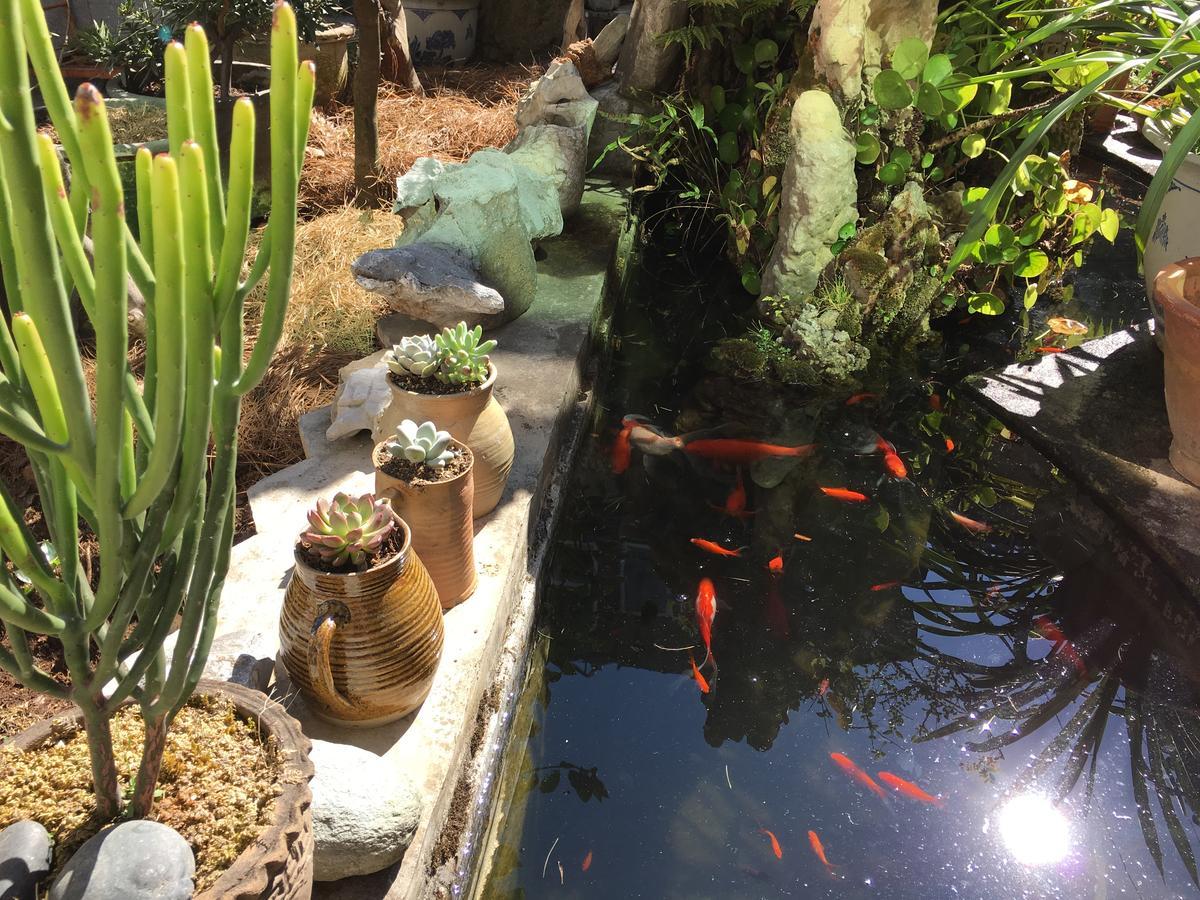 The Lily Pad Inn ต้าหลี่ ภายนอก รูปภาพ